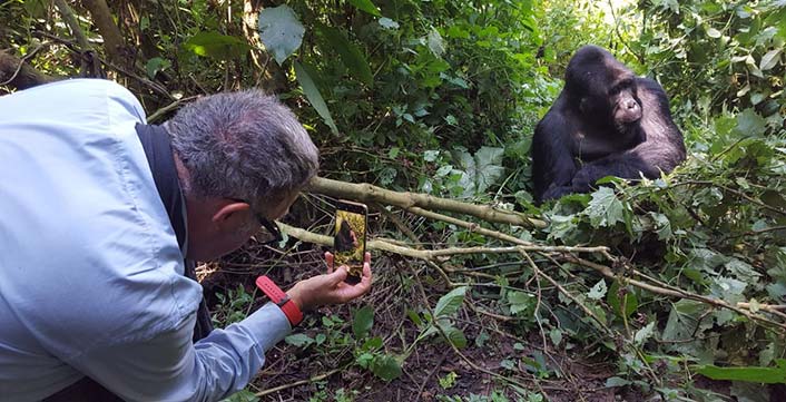 Gorilla Trekking experience Gorilla Trekking experience