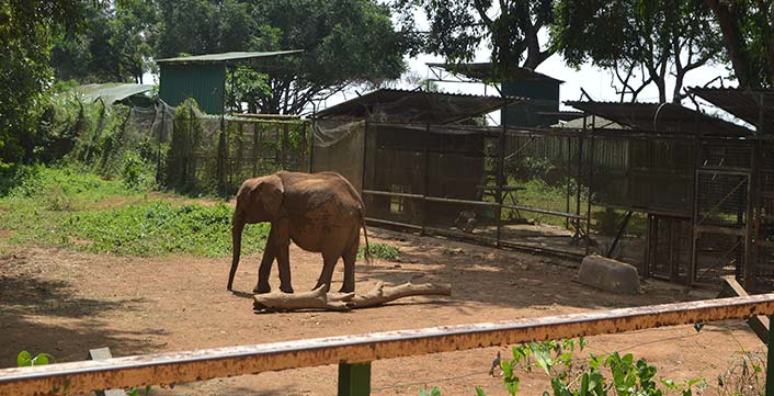Uganda Wildlife Educational Center