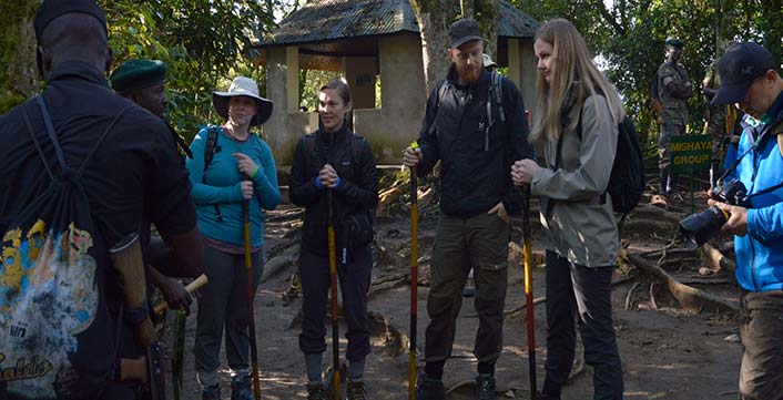 Mountain Gorilla briefing by UWA ranger