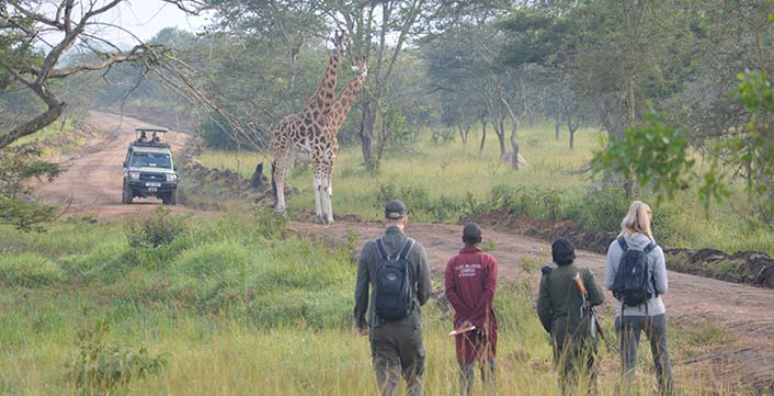 Guided walk