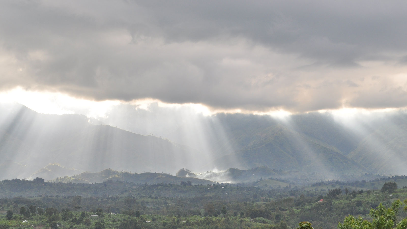 Mountain Rwenzori