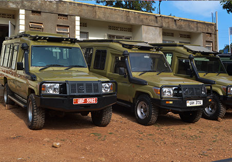 Safari car hire