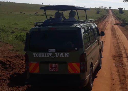 Game-drive-Murchison-falls