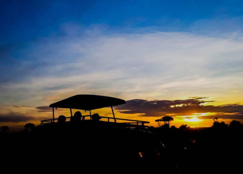 sunrise-game-drive-Murchison-falls